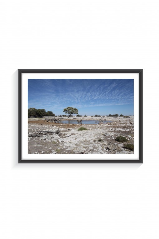 Poster with frame National Park of Etosha - Namibia  By Emmanuel Catteau