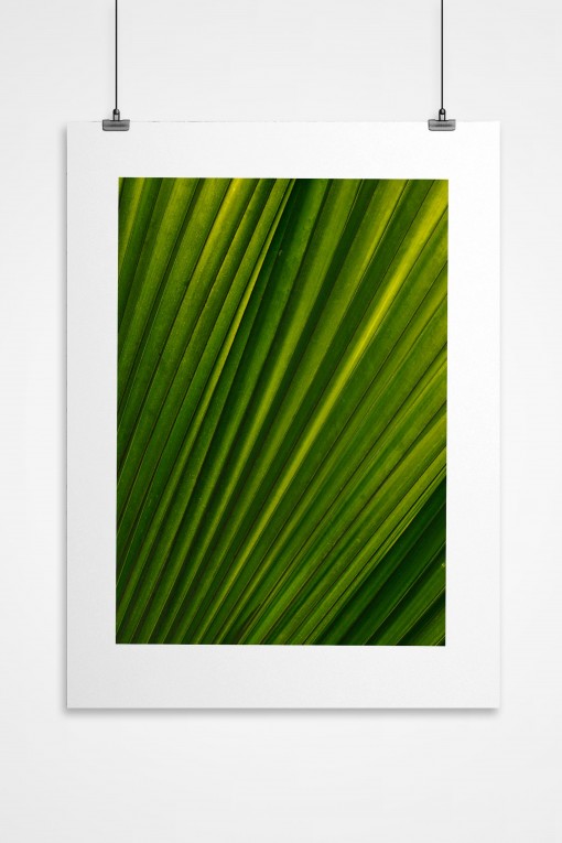 Poster Green By Emmanuel Catteau