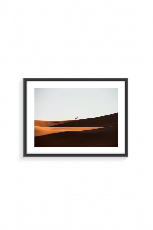 Poster with frame Oryx in the Desert - By Emmanuel Catteau