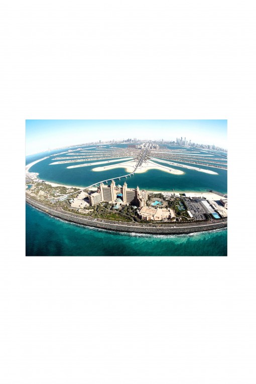 Reusable sticker Palm Jumeirah By Emmanuel Catteau