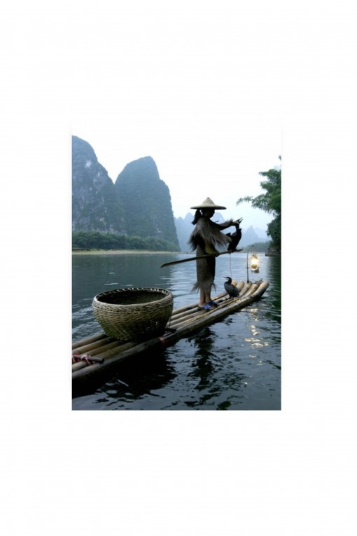 Poster Cormoran Fishing - China By Emmanuel Catteau