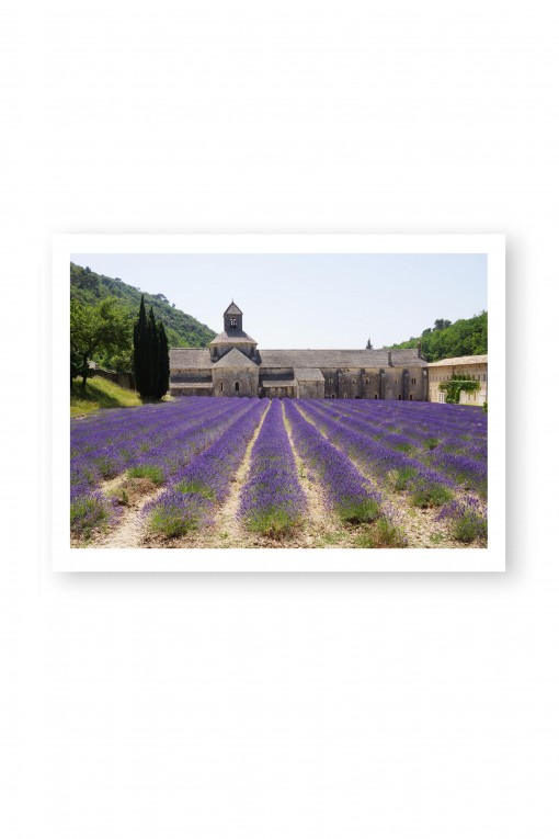 Poster Abbaye of Senanque - France By Emmanuel Catteau