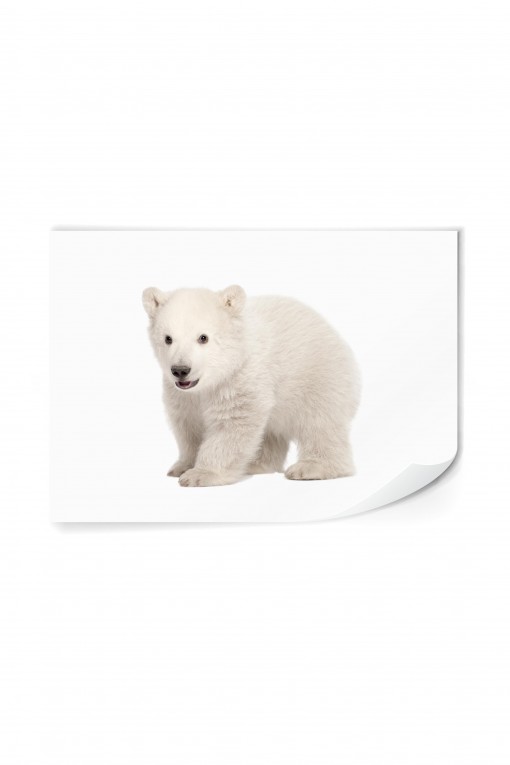 Reusable sticker The Polar Bear