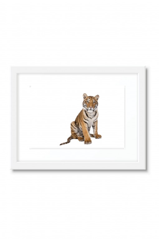 Poster with frame The Tiger