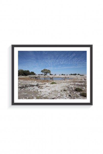 Poster with frame National Park of Etosha - Namibia  By Emmanuel Catteau