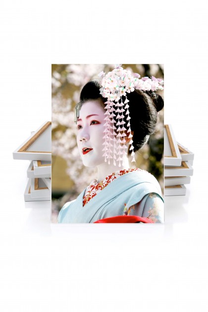 Canvas Geisha - Japan By Emmanuel Catteau