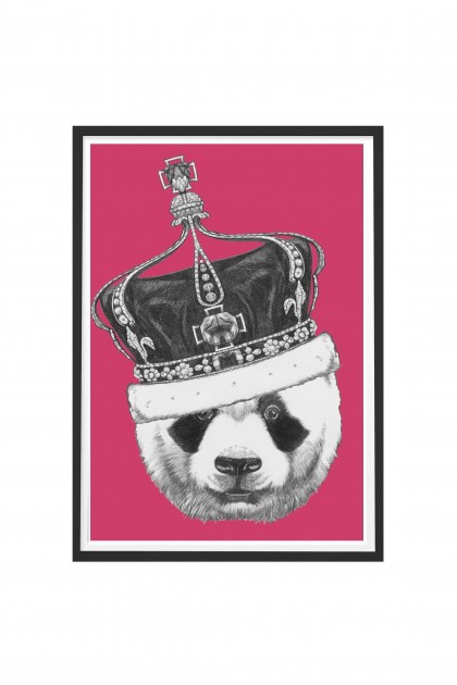 Poster with frame King Panda