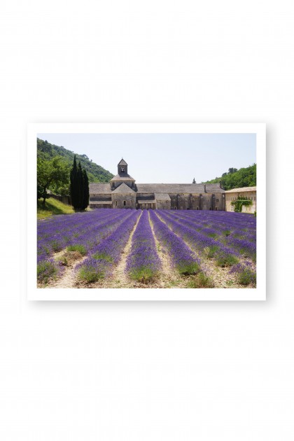 Poster Abbaye of Senanque - France By Emmanuel Catteau