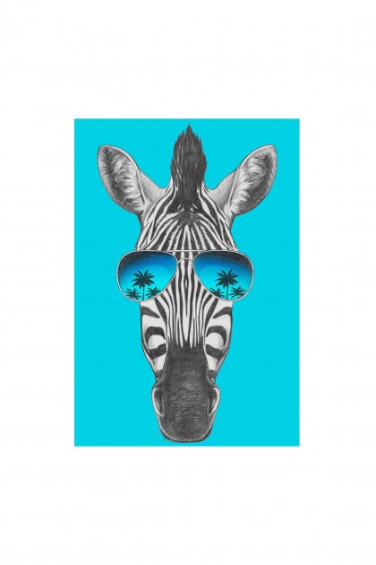 Poster Zebra With Style