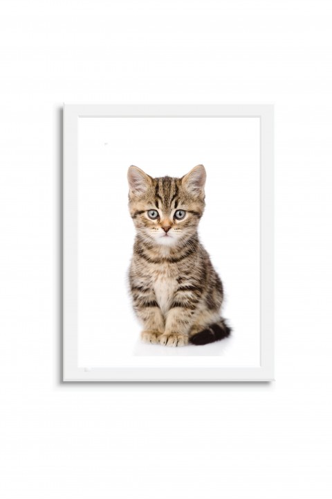 Poster with frame Baby Cat By Emmanuel Catteau