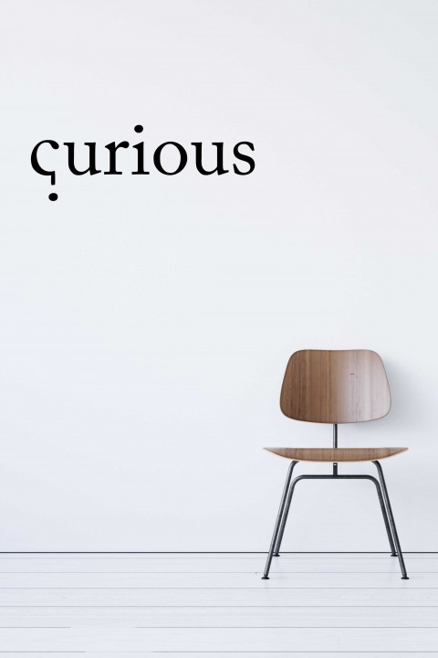 Vinyl wall sticker Curious