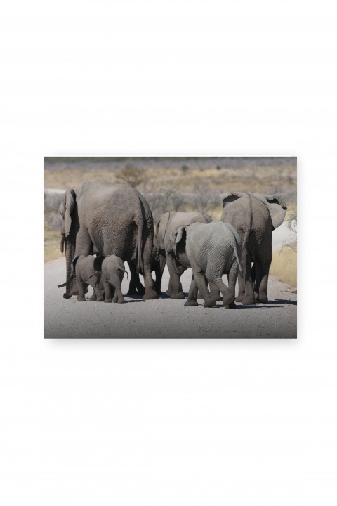 Canvas Elephants Namibia - By Emmanuel Catteau