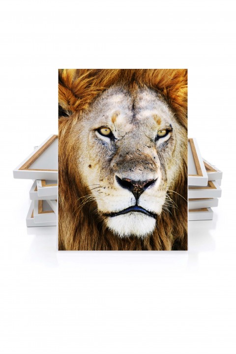 Canvas King Lion - Tanzania - By Emmanuel Catteau
