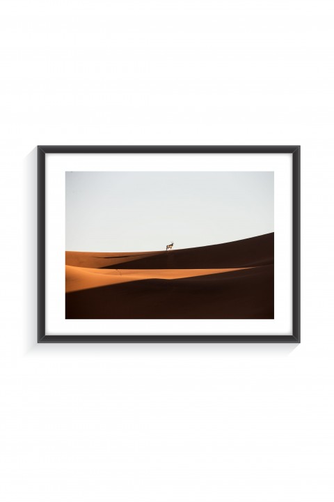 Poster with frame Oryx - Namibia By Emmanuel Catteau