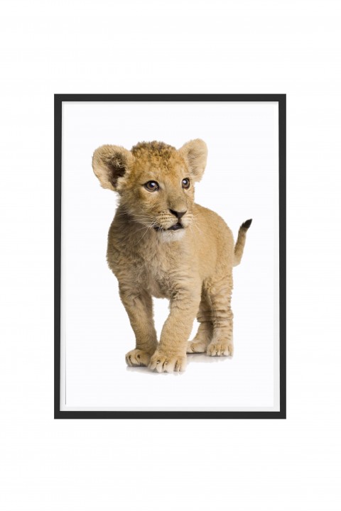 Poster with frame The Lion