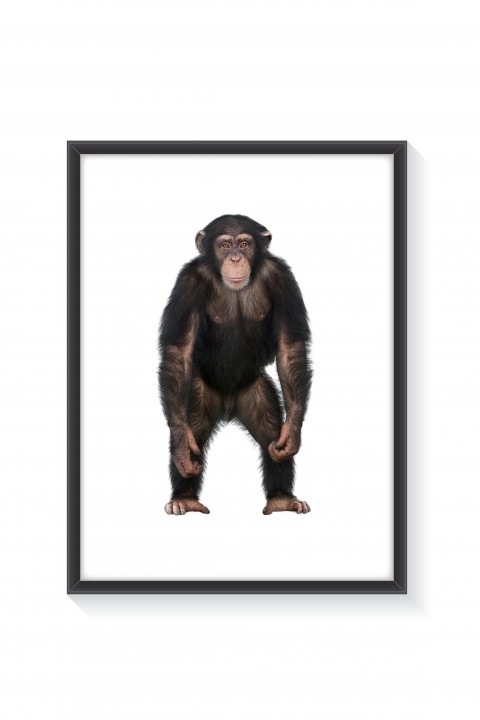 Poster with frame The Monkey