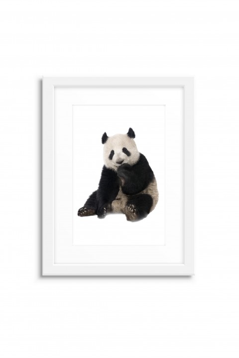 Poster with frame The Panda